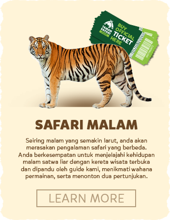 tiket taman safari indonesia